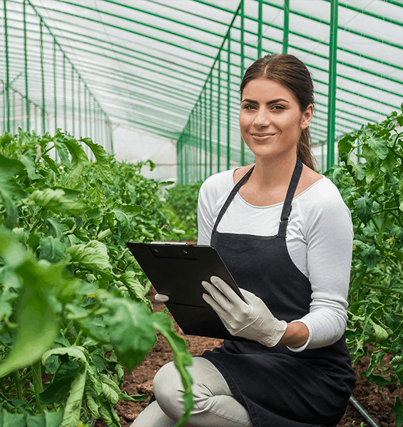 LET’S GET TO WORK – AG